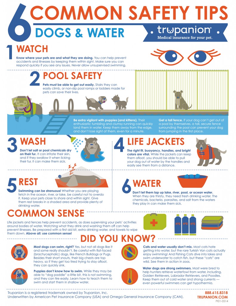 Trupanion Water Safety Infographic - 8.5 x 11